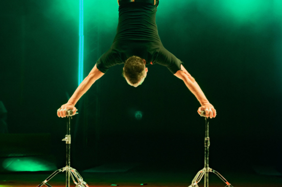 &TScy;&icy;&rcy;&kcy; &Vcy;&icy;&vcy;&acy;&tcy; &Vcy;&ocy;&rcy;&ocy;&ncy;&iecy;&zhcy; - &shcy;&ocy;&ucy; "&Bcy;&iecy;&lcy;&ycy;&iecy; &tcy;&icy;&gcy;&rcy;&ycy;"