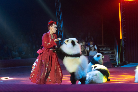 &TScy;&icy;&rcy;&kcy; &Vcy;&icy;&vcy;&acy;&tcy; &Vcy;&ocy;&rcy;&ocy;&ncy;&iecy;&zhcy; - &shcy;&ocy;&ucy; "&Bcy;&iecy;&lcy;&ycy;&iecy; &tcy;&icy;&gcy;&rcy;&ycy;"