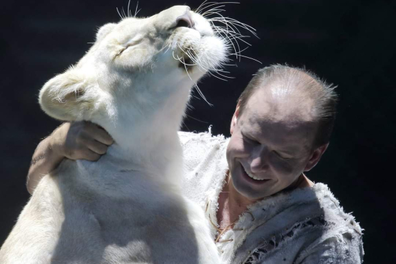 &TScy;&icy;&rcy;&kcy; &Vcy;&icy;&vcy;&acy;&tcy; &Vcy;&ocy;&rcy;&ocy;&ncy;&iecy;&zhcy; - &shcy;&ocy;&ucy; "&Bcy;&iecy;&lcy;&ycy;&iecy; &tcy;&icy;&gcy;&rcy;&ycy;"