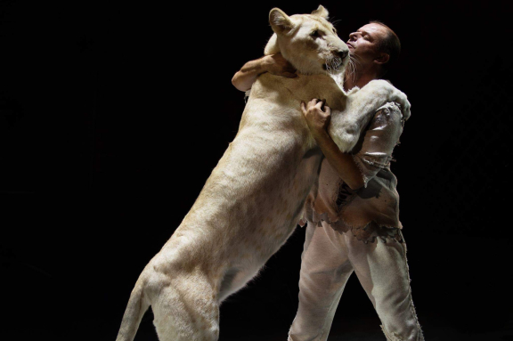 &TScy;&icy;&rcy;&kcy; &Vcy;&icy;&vcy;&acy;&tcy; &Vcy;&ocy;&rcy;&ocy;&ncy;&iecy;&zhcy; - &shcy;&ocy;&ucy; "&Bcy;&iecy;&lcy;&ycy;&iecy; &tcy;&icy;&gcy;&rcy;&ycy;"