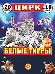 &TScy;&icy;&rcy;&kcy; &Vcy;&icy;&vcy;&acy;&tcy; &Vcy;&ocy;&rcy;&ocy;&ncy;&iecy;&zhcy; - &shcy;&ocy;&ucy; "&Bcy;&iecy;&lcy;&ycy;&iecy; &tcy;&icy;&gcy;&rcy;&ycy;"