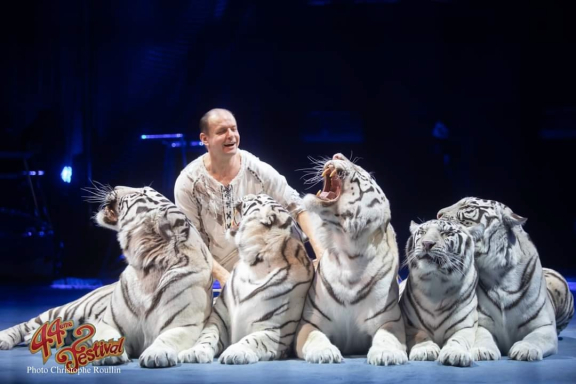 &TScy;&icy;&rcy;&kcy; &Vcy;&icy;&vcy;&acy;&tcy; &Vcy;&ocy;&rcy;&ocy;&ncy;&iecy;&zhcy; - &shcy;&ocy;&ucy; "&Bcy;&iecy;&lcy;&ycy;&iecy; &tcy;&icy;&gcy;&rcy;&ycy;"