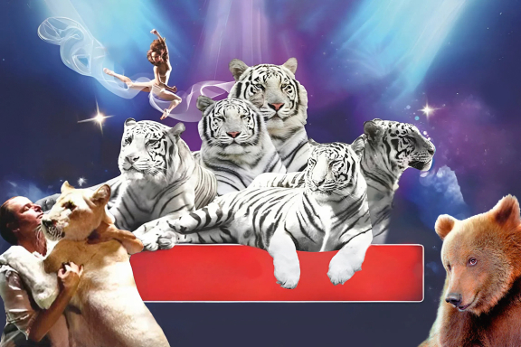 &TScy;&icy;&rcy;&kcy; &Vcy;&icy;&vcy;&acy;&tcy; &Vcy;&ocy;&rcy;&ocy;&ncy;&iecy;&zhcy; - &shcy;&ocy;&ucy; "&Bcy;&iecy;&lcy;&ycy;&iecy; &tcy;&icy;&gcy;&rcy;&ycy;"